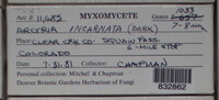 Image Associated With the Occurence